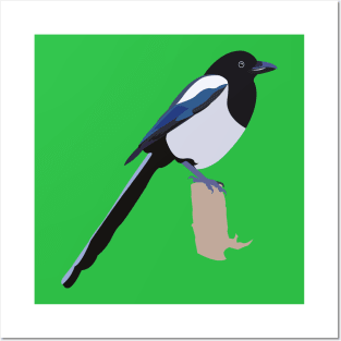 Magpie Posters and Art